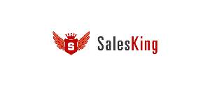 logo salesking